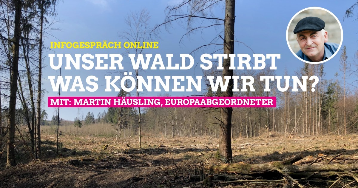 Unser Wald stirbt