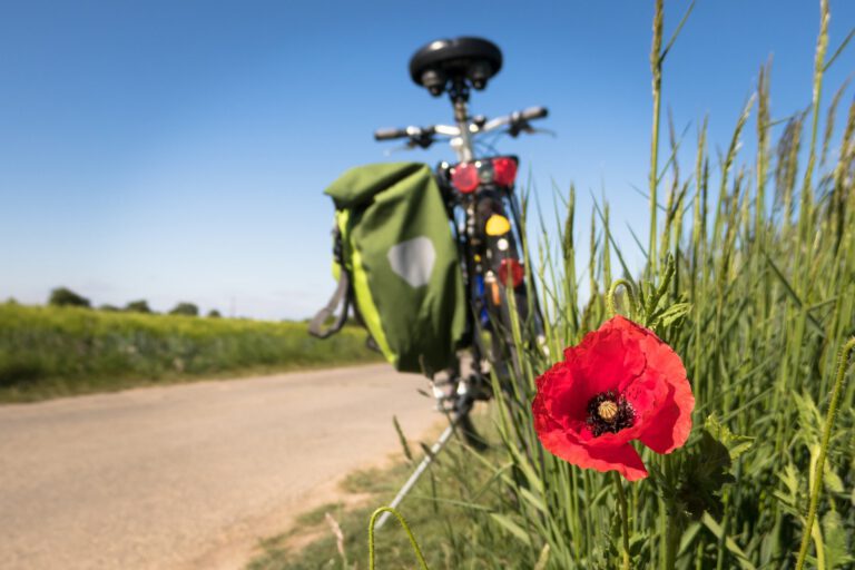 SAVE THE DATE: Wald, Wiese und Wein – GRÜNE Promi-Radtour im Main-Taunus-Kreis