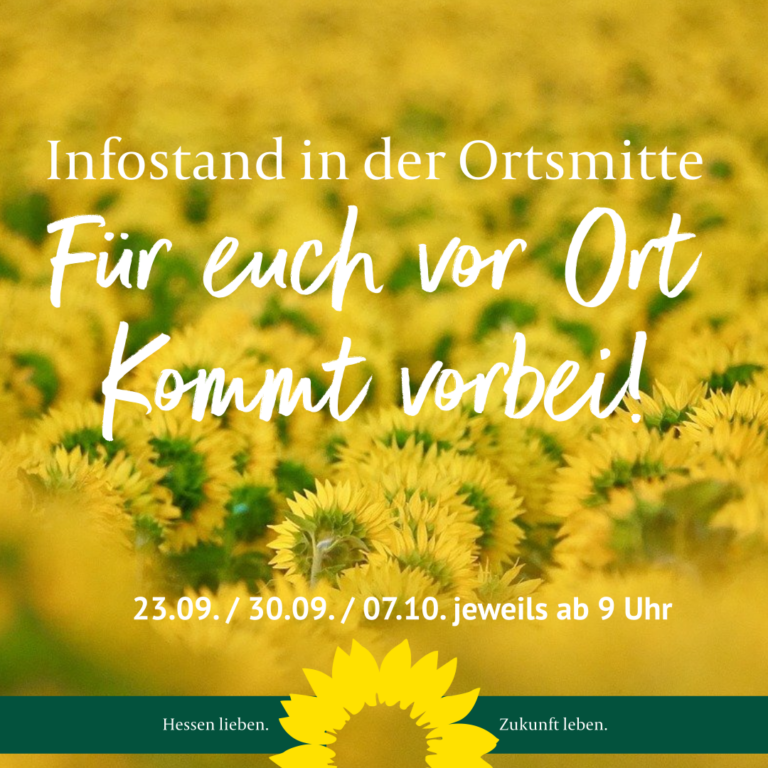 Infostand in der Ortsmitte